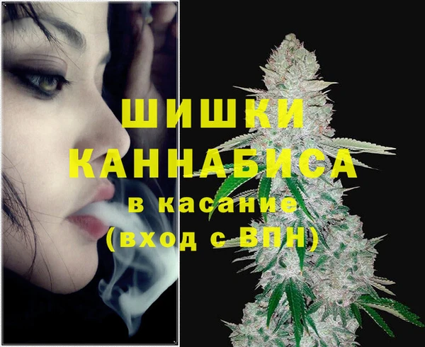 молекула духа Карпинск