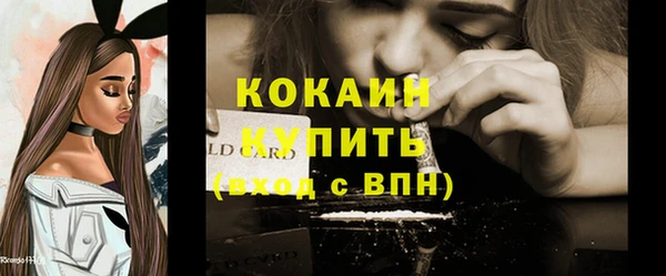 молекула духа Карпинск