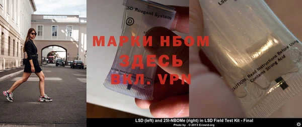 PSILOCYBIN Карталы