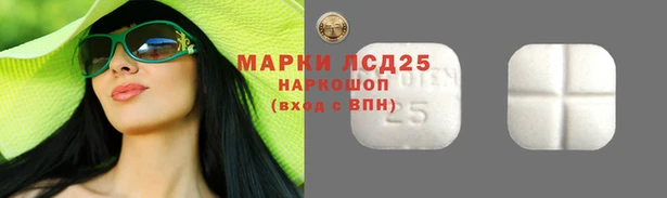 молекула духа Карпинск