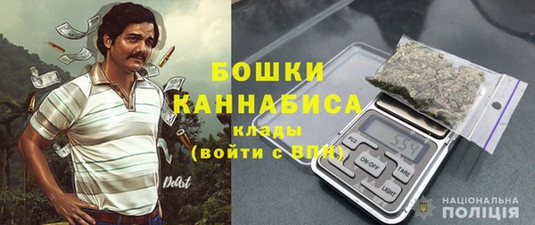 шишки Касимов