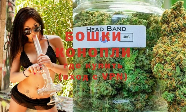 PSILOCYBIN Карталы