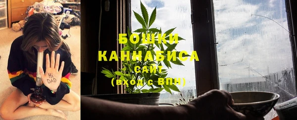молекула духа Карпинск