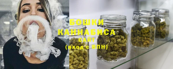 шишки Касимов