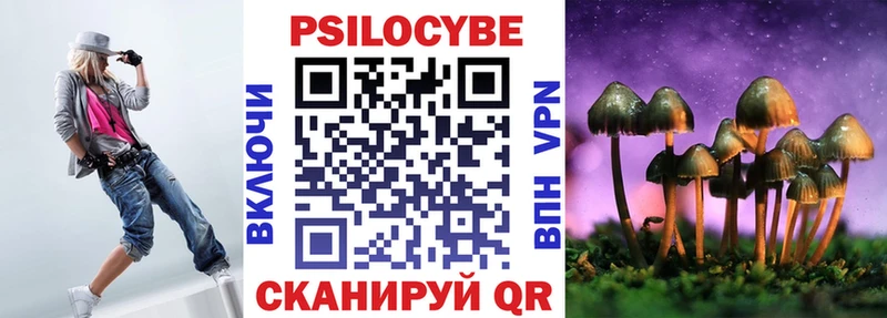 Купить закладки  Лесной  Псилоцибиновые грибы мицелий 
