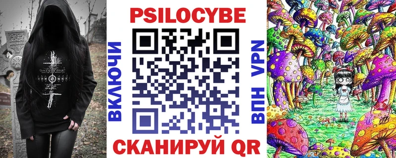 Псилоцибиновые грибы прущие грибы Лесной