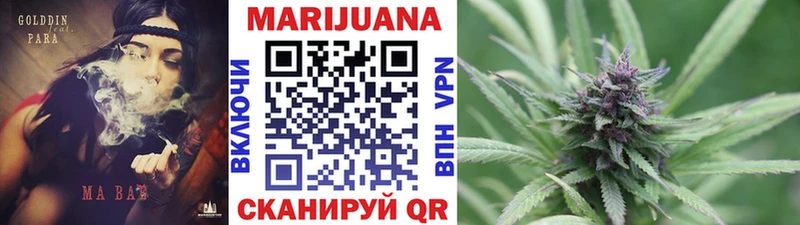 Каннабис семена  Купить где  Лесной 